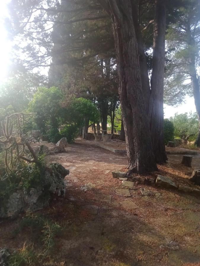 Agriturismo Teatro Del Grano Alberobello Exteriör bild